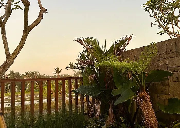 Villa Abitama